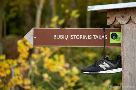 istorinis žemėlapis su Bubių sodyba