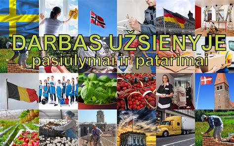 virėjo darbas užsienyje infografika
