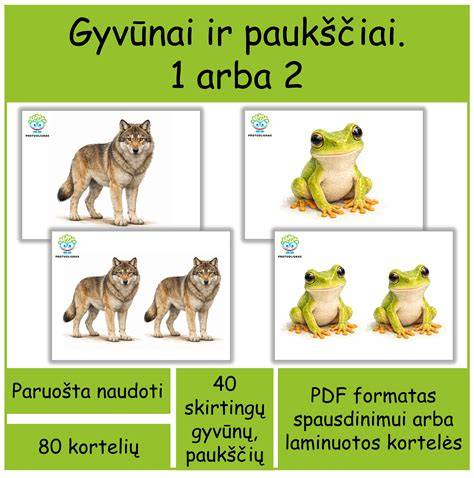gyvūnai-paukščiai-infografika