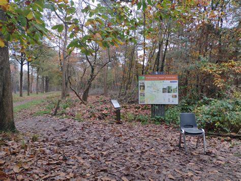 Transilvanijos zona Heide parke vizualiai
