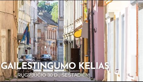 Vilniaus Gailestingumo kelias infografika