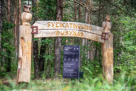 Pušynas Druskininkuose architektūra ir vieta