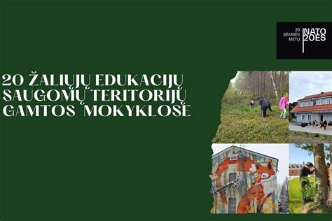 žaliųjų teritorijų planavimas infografika (6 words)