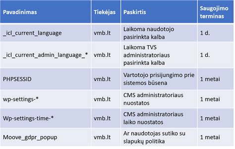 slapukų politika iliustracija