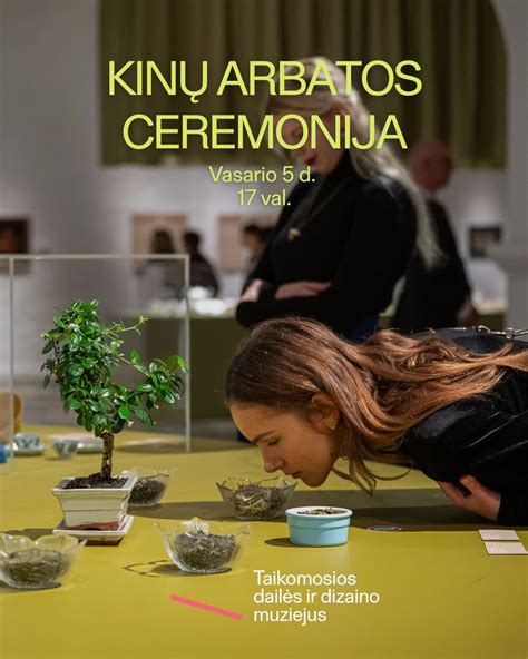 Rygos kultūros festivaliai vakaro metu (8 žodžiai)