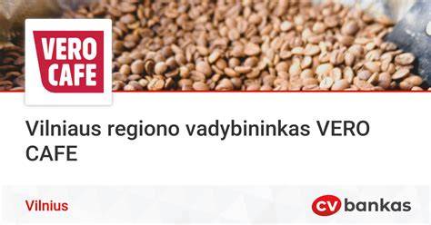 Vilniaus regiono kurorto vizualizacija
