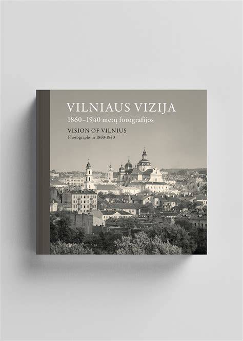 Vilniaus miesto augančios scenos vizija infografika