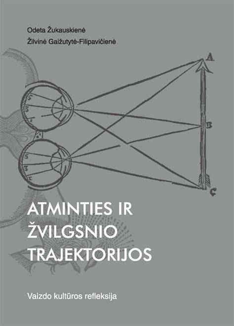 Atminties tyrimų poskyriai