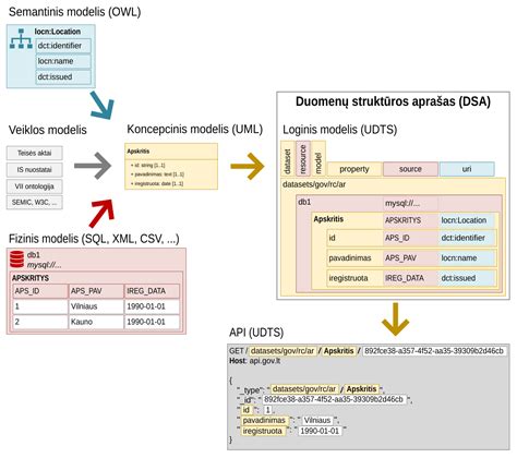 Duomenų rinkimo schema DILAX Vilnius