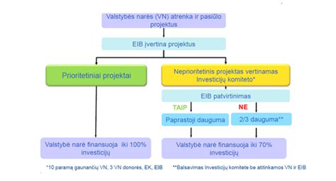 diagraminė schema apie finansavimo šaltinius (tarptautiniai ir vietiniai)