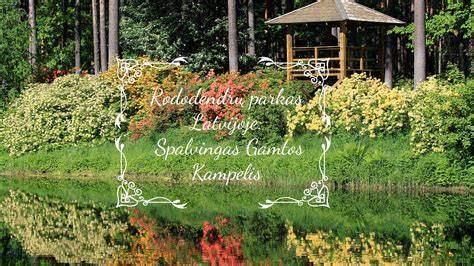 hramdingas gamtos kampelis Lietuvoje