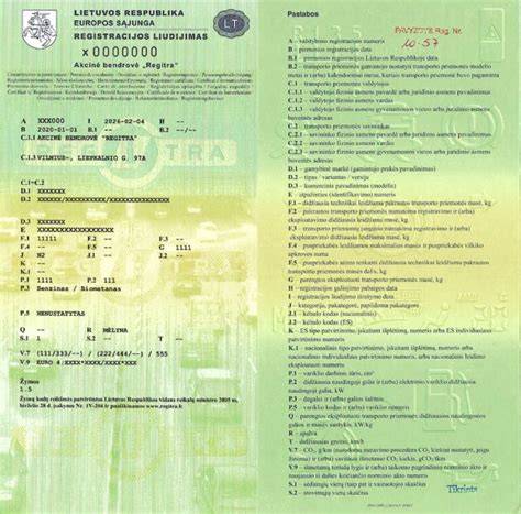 registracijos ir įlaipinimo informacija
