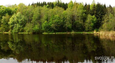Obelynės parkas dendrologinis kolekcijų paveldas