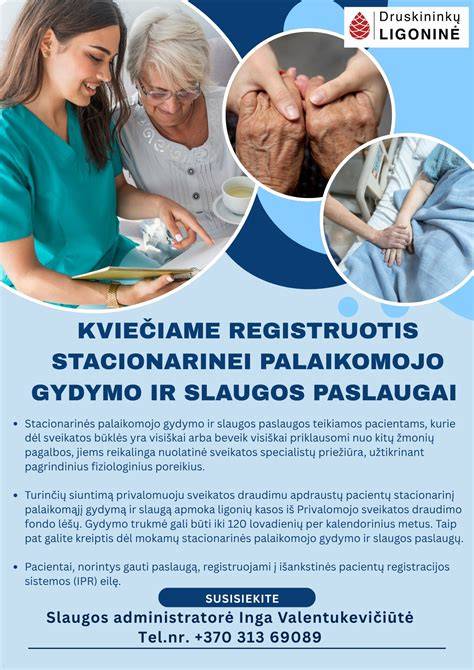 Druskininkų gydymo kurortas vaizdas (infografika)