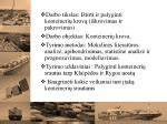 Splito ir Rygos oro uostų palyginimas