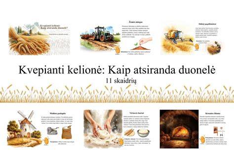 kelionė kaip atskiras reisų tipas