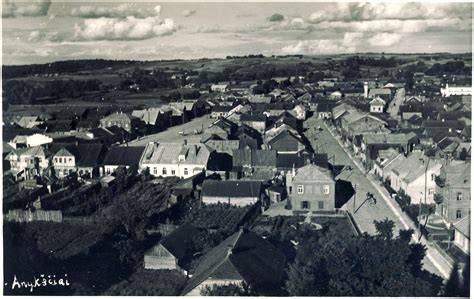 Anykščių panorama iš bokšto (informacinė nuotrauka)