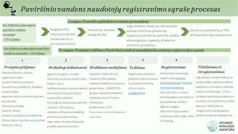 Infografika: registracijos proceso eiga