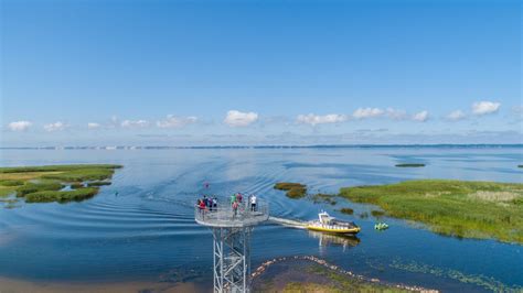 Kuršių marių pakrantė ir stovyklavietės panorama