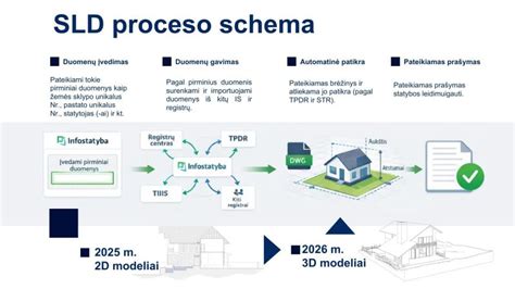 Vizų išdavimo procesas Lietuvoje (vizojų sistema)