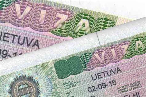 Prie planuojamos vizos nagrinėjimo laikotarpių paaiškinimas