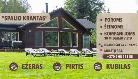 Gamta ir kaimo sodybų įvairovė (infographic about rural tourism options in Lithuania)