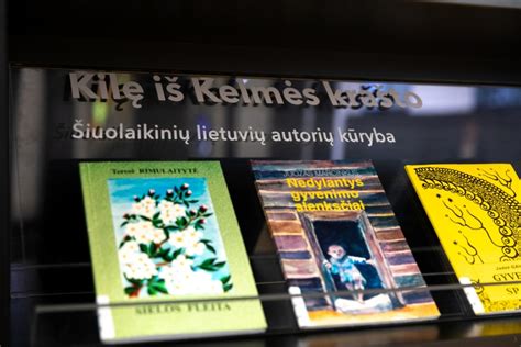 ekspozicija demeneskiu atlaidai iliustracija
