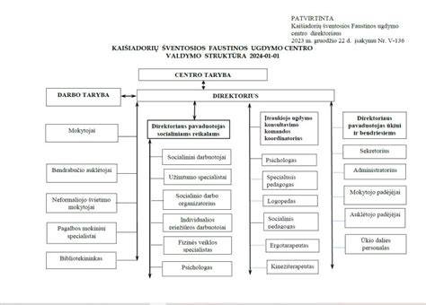 lėtai besikeičiančios psichiatrijos įstaigos schema