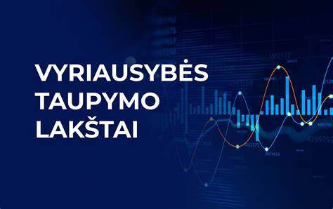 infografika apie keliautoju duomenu taupymo budus