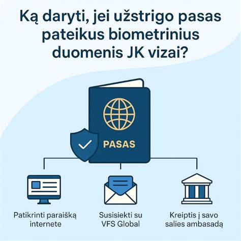 darbo vizos vizos paraiškos nuotraukų nuorodos