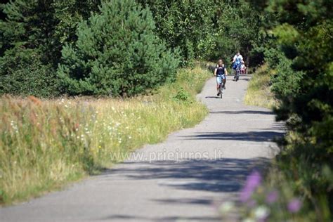 dviračių takas Kretinga Palanga planas