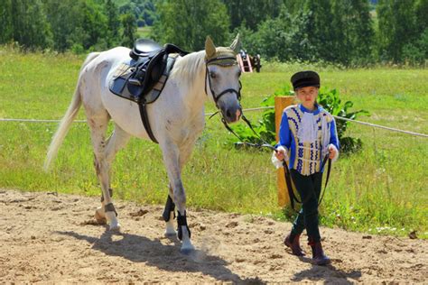 Grybų dvaro arklidės ir edukacijos akcijos