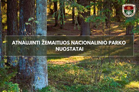 Durmitoro nacionalinio parko kalnų peizažas