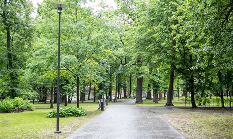 Kauno Vytauto parko architektūra ir Kurhauzas