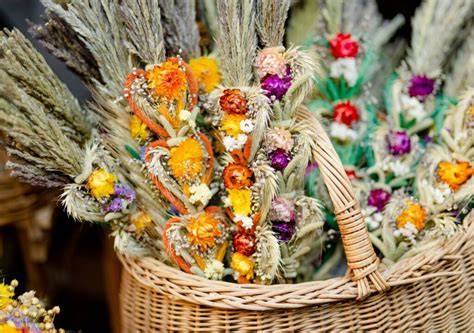 Gervių giesmės tradicijos ir amatų edukacijos