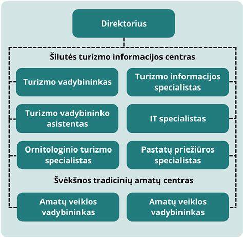 informacijos prieinamumo schema