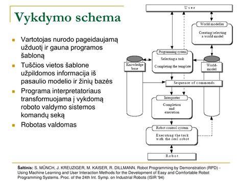 reglamento vykdymo schema