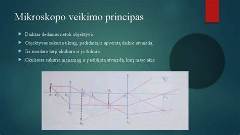 Infografika apie slapukų naudojimą ir Pixel žymas