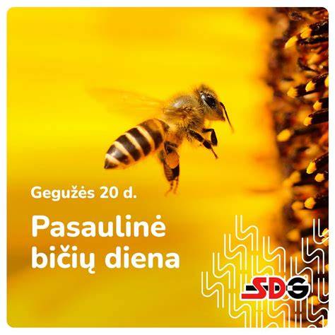 Oro sąlygos Palangoje šią dieną infografika