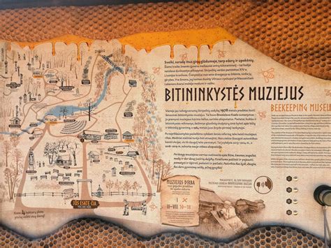 Kapitolijaus muziejaus patirties žemėlapis
