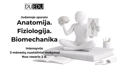vestibulinio aparato anatomija schemos