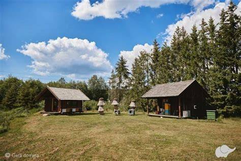 gyvenimo sodyboje bičių terapijos vizualizacija