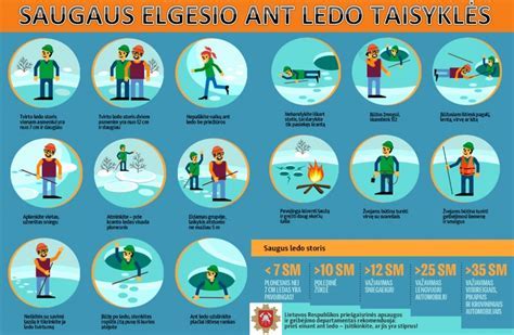infographic: sodybos taisyklės ir draudimai