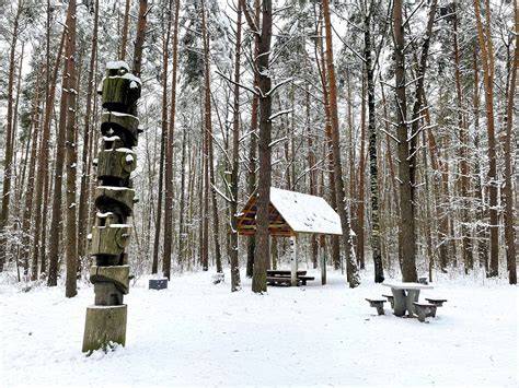pasakų parkas iliustracija