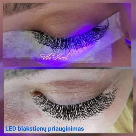 blakstienų priauginimo procesas (informacinė nuoroda)