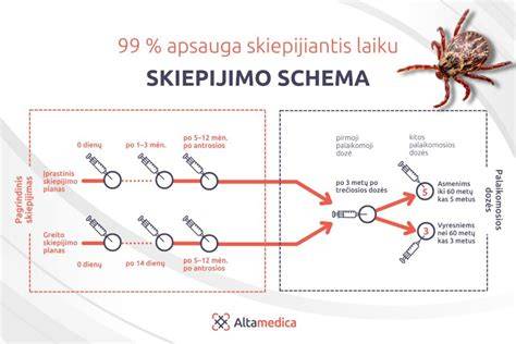 paukščių skiepijimo bazių schema