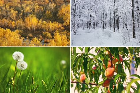 Portugalijos klimatas ir metų laikai infografika