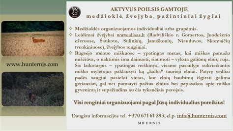 poilsis gamtoje infografika (2-3 skaidrės)