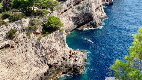 Kroatijos Adrijos jūros pakrantė ir miškai