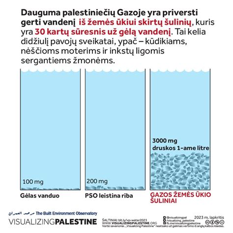 Infografika apie pilkojo vandens bakų dydžių rekomendacijas